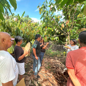 Alea's Farm Resilience Program